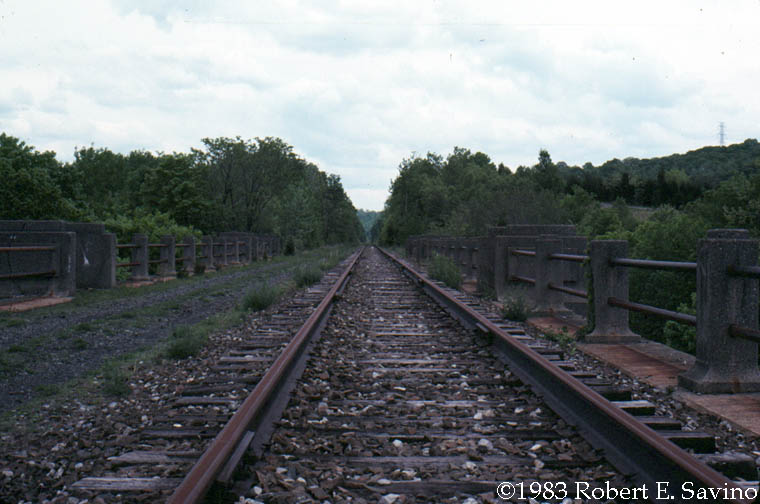 Looking east atop Paulins Kill Viaduct in 1983